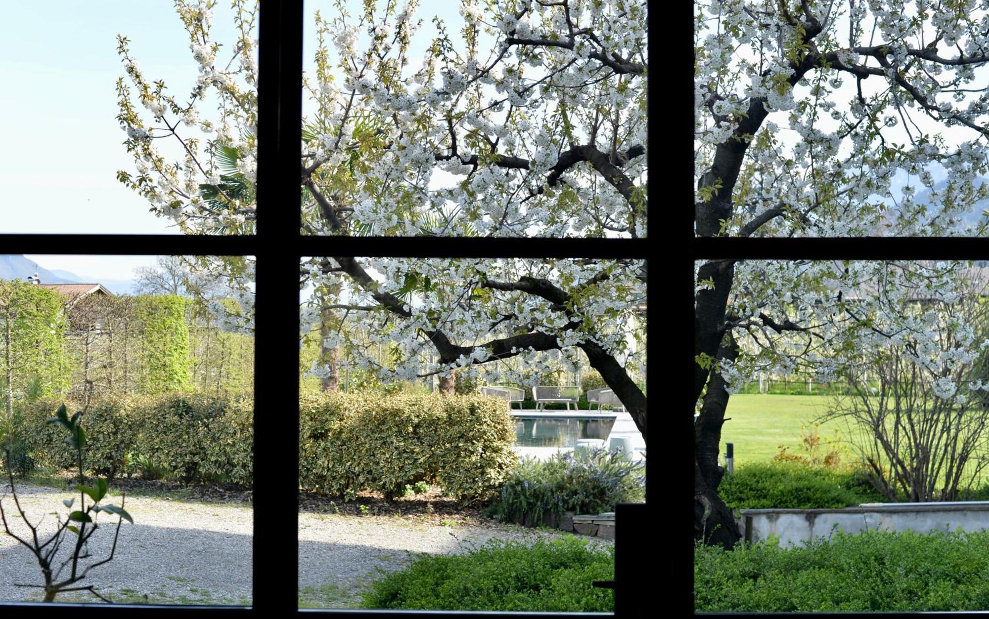 Haus Wiesenstein Lana Exterior foto